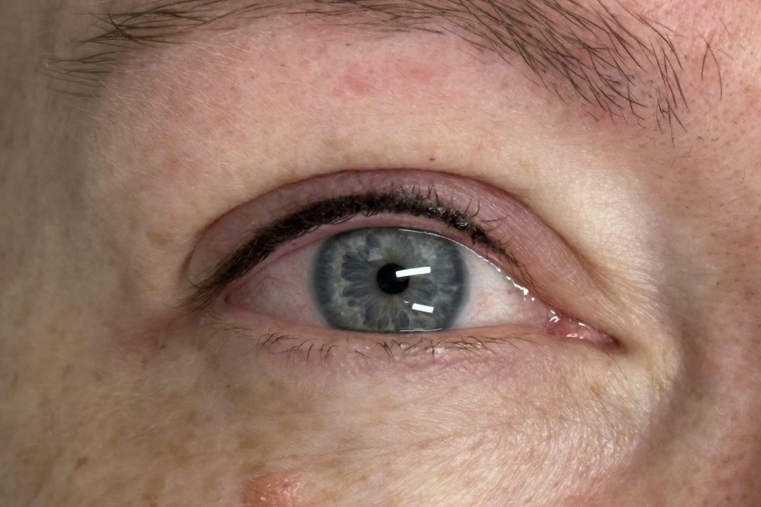 IMG_2240 IMG_2240